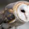 workshopwerk-seminare-workshop-coaching-schulung-2